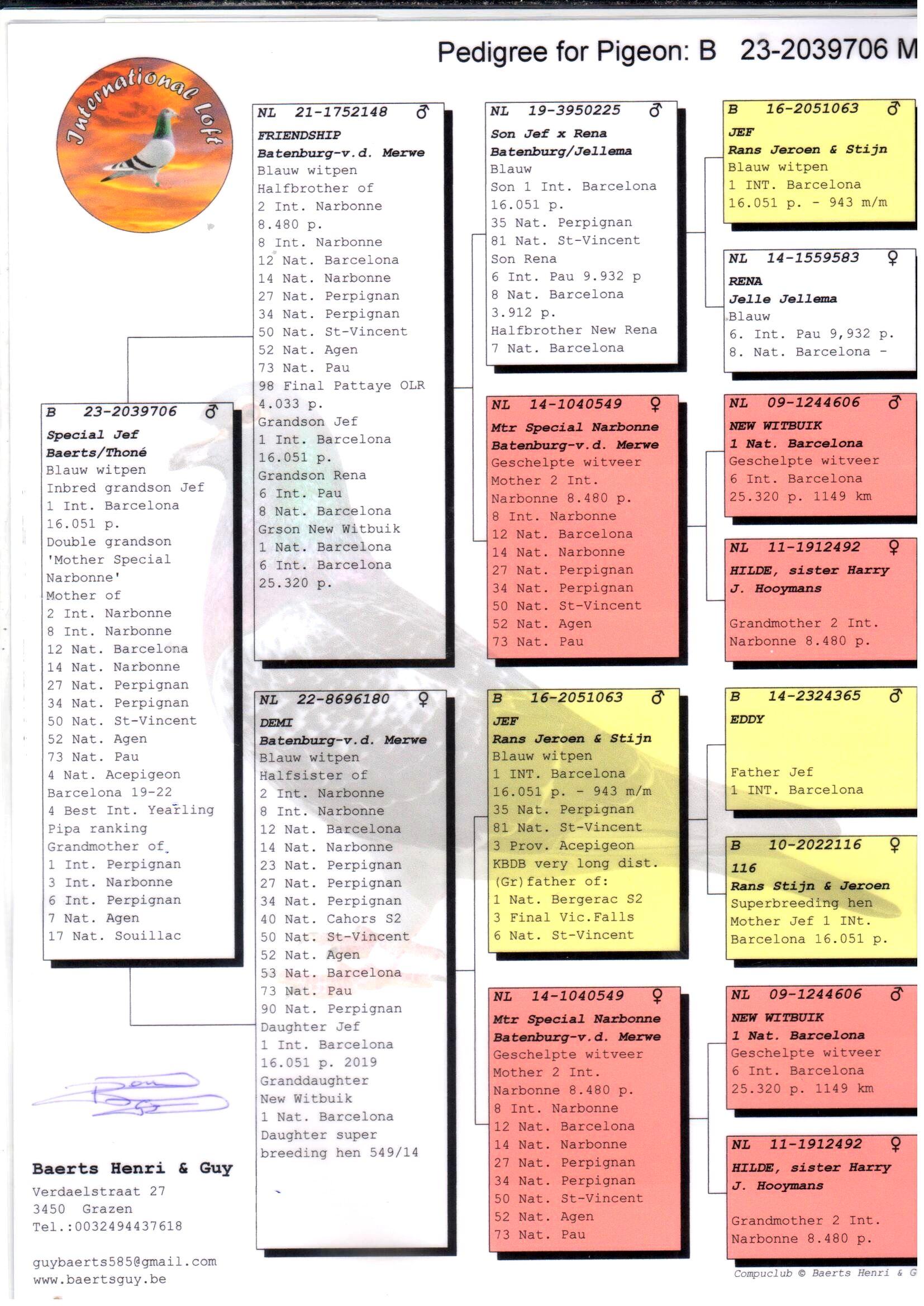 pedigree Special Jef: Inteelt “Jef” : 1° Internat Barcelona