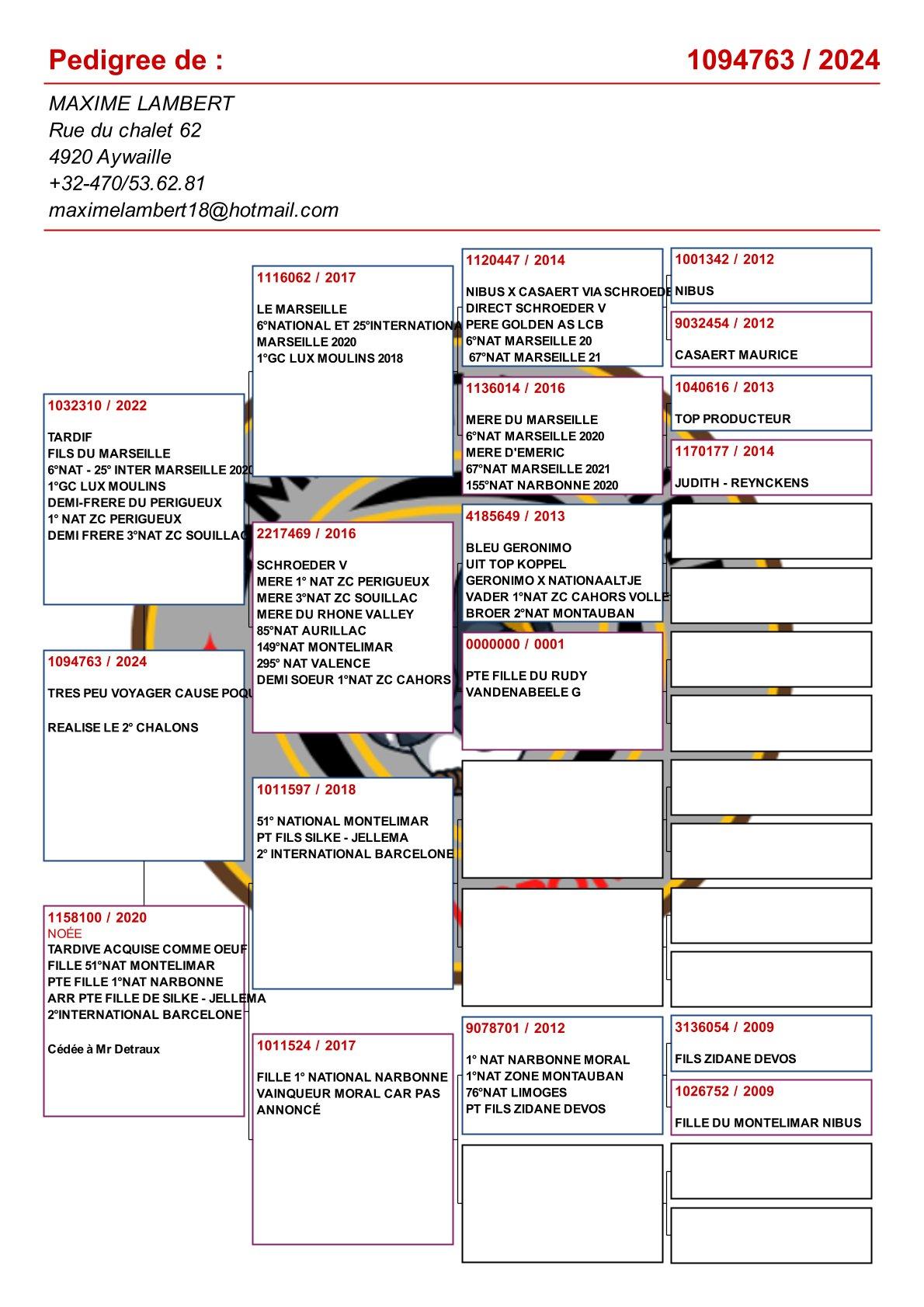 pedigree Kleinzoon "Marseille Evan" : 6° nat Marseille 