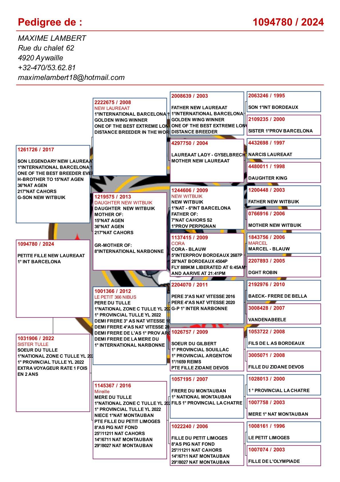 pedigree Dochter uit koppel "Zoon New Laureaat" x "Sister Tulle"