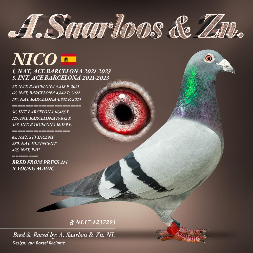 Kleindochter “Nico” : 1° Nat As Barcelona ’21-‘22 - Familie