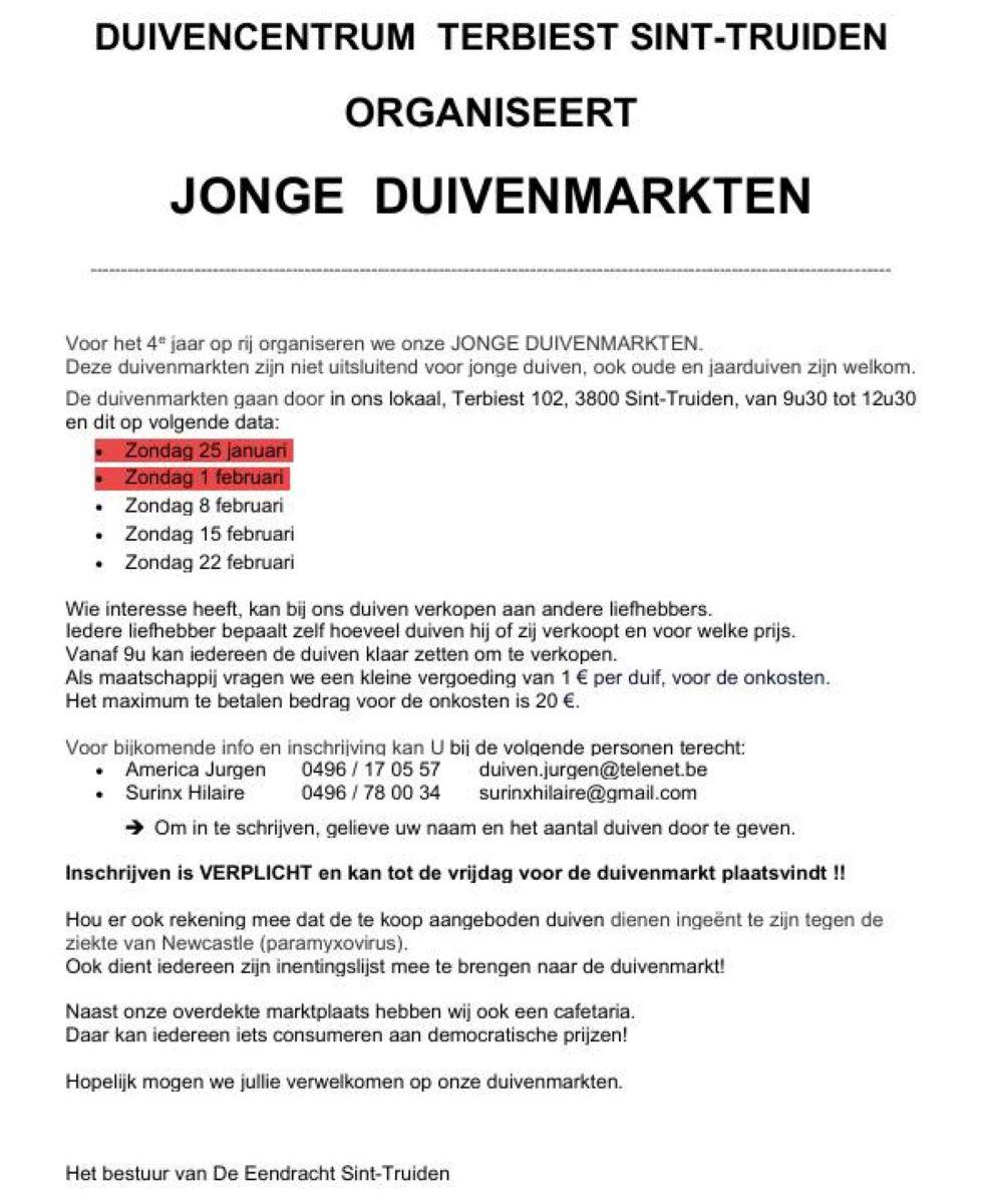 ST-TRUIDEN Jonge Duivenmarkten-3