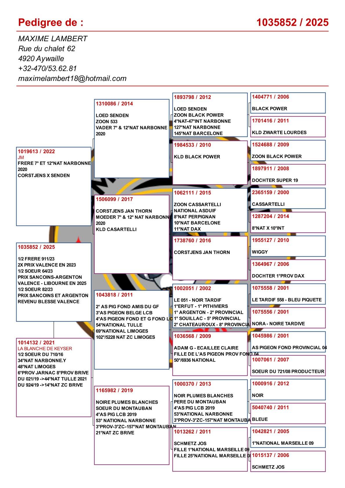 pedigree Zoon uit broer 7° & 12° Nat Narbonne