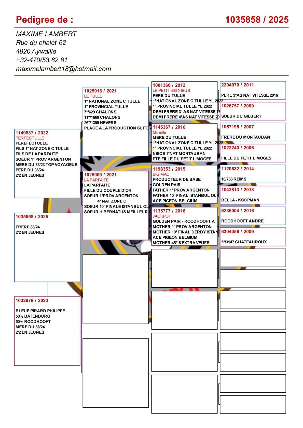 pedigree Kleinzoon "Le Tulle" : 1e Nat.Z.C Tulle & 1e Prov. Tulle