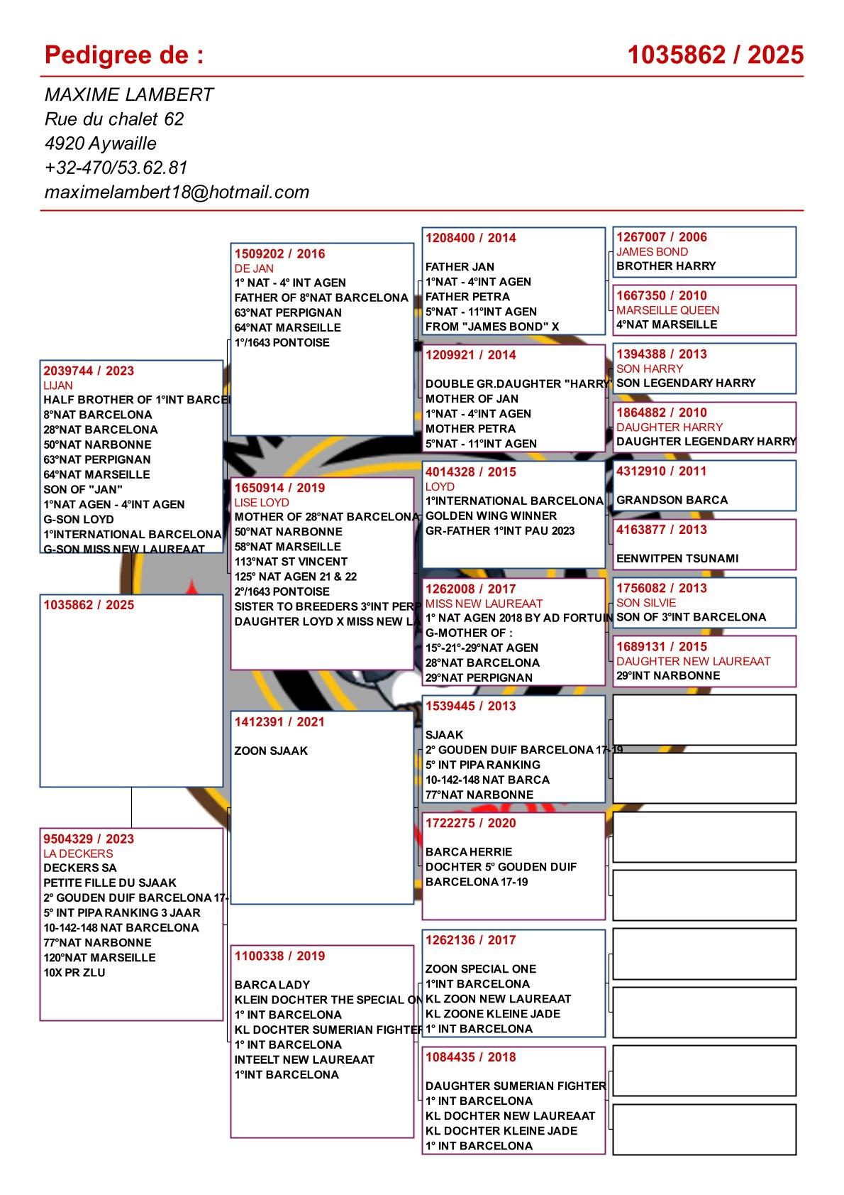 pedigree Kleinkind “Jan” : 1° Nat & 4° Internationaal Agen