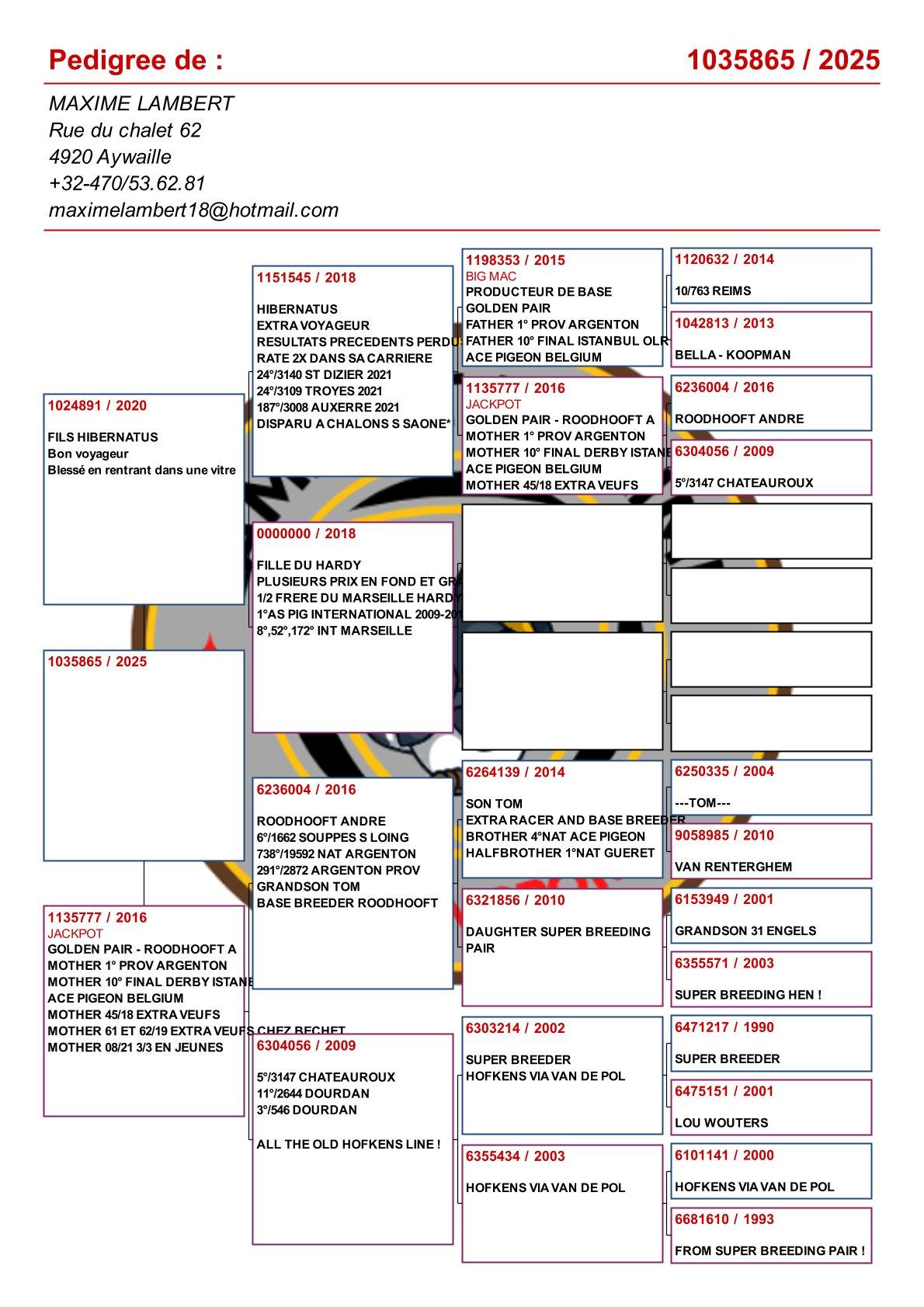 pedigree Kind uit : "Zoon Hibernatus" x "Jackpot"