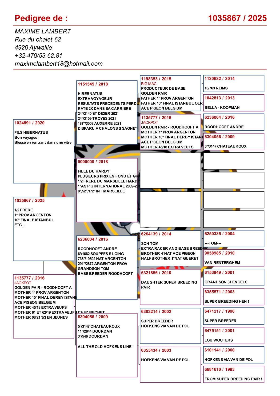pedigree Kind uit : "Zoon Hibernatus" x "Jackpot"