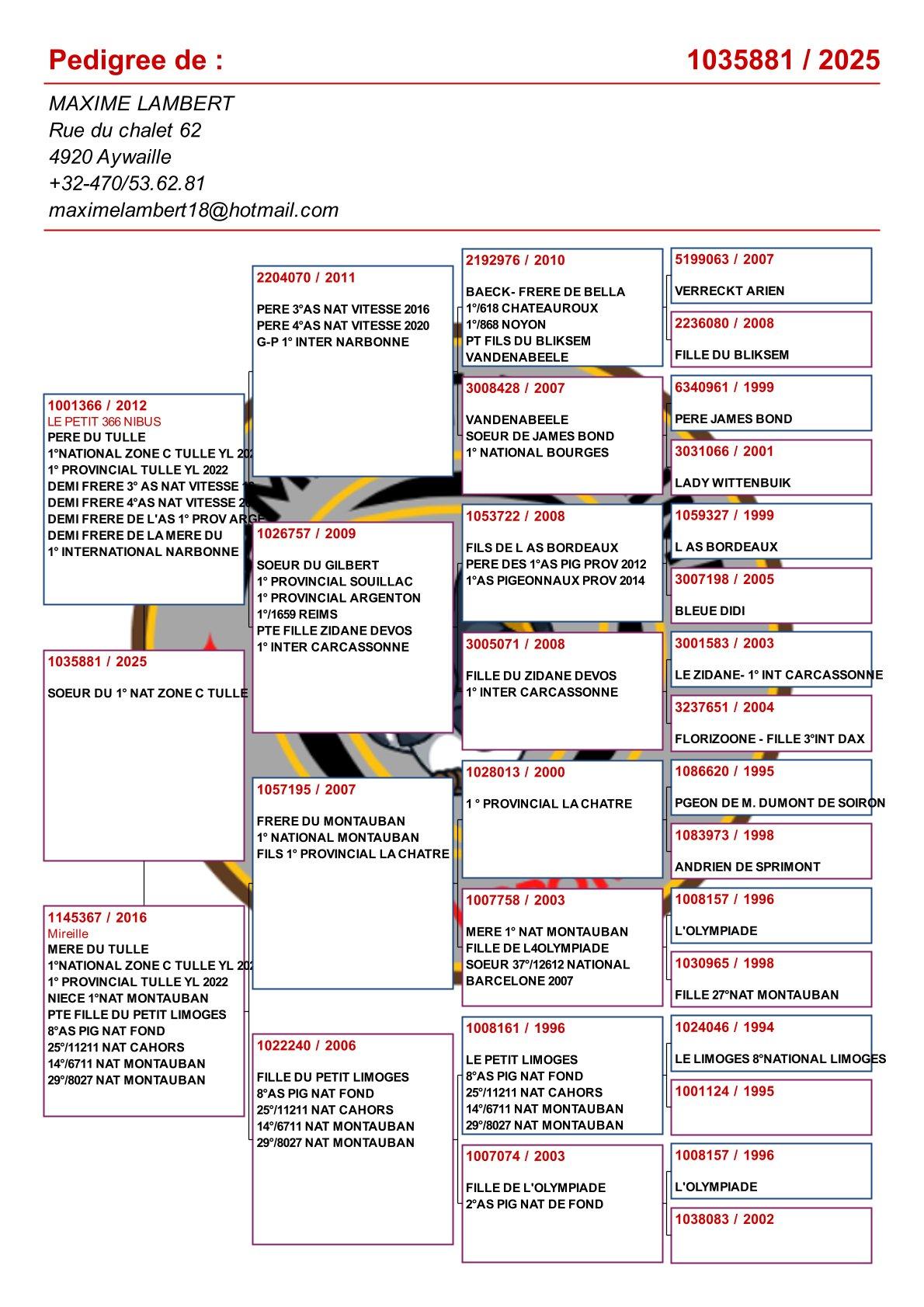 pedigree Zus "Le Tulle" : 1° Nat Z C Tulle ( + moeder GRATIS: Lot 14)