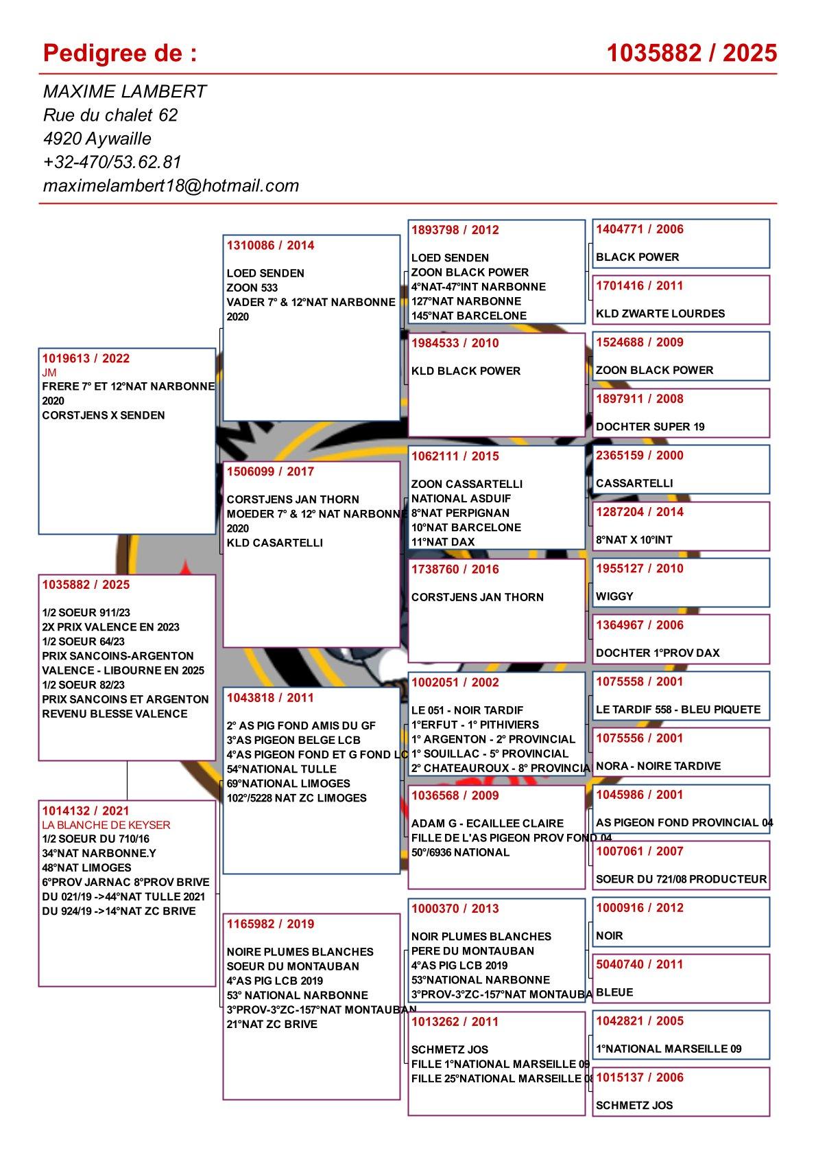 pedigree Dochter uit broer 7° & 12° Nat Narbonne