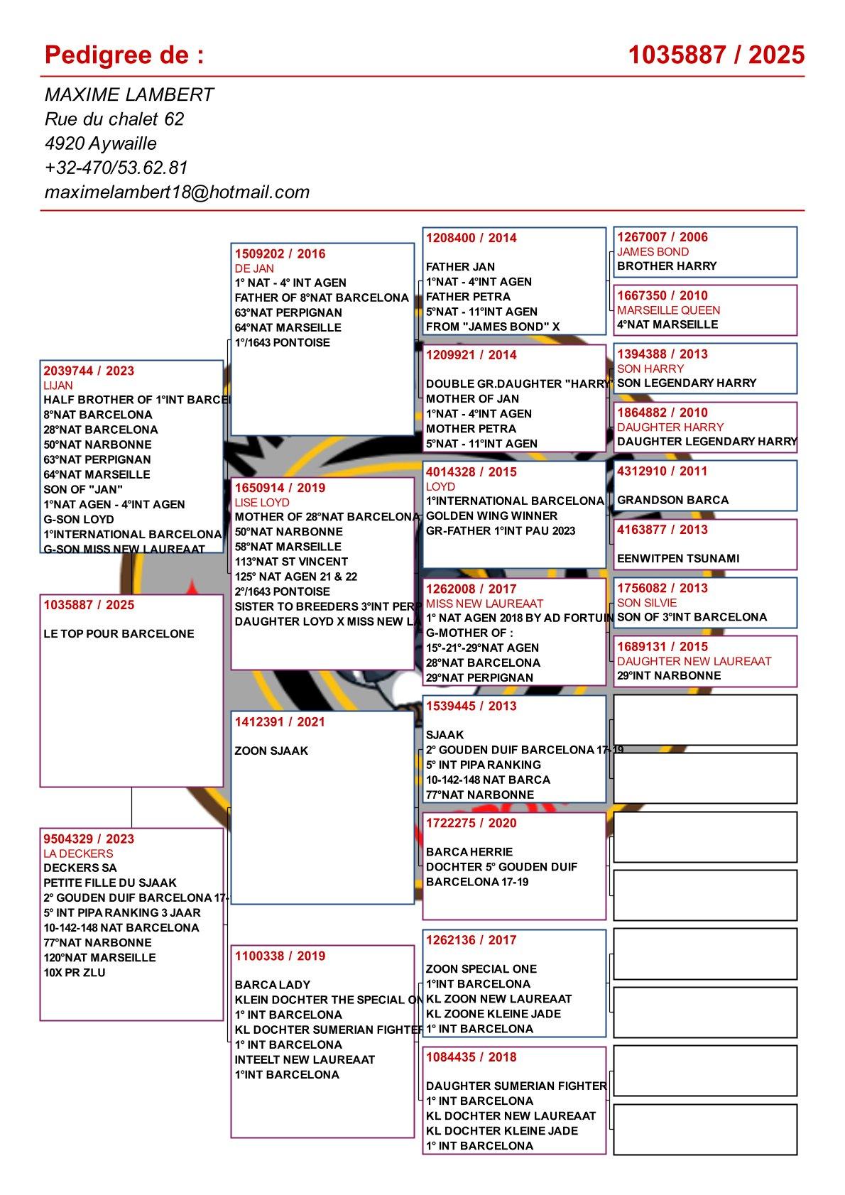 pedigree Kleinkind "Jan" : 1° Nat & 4° Internationaal Agen