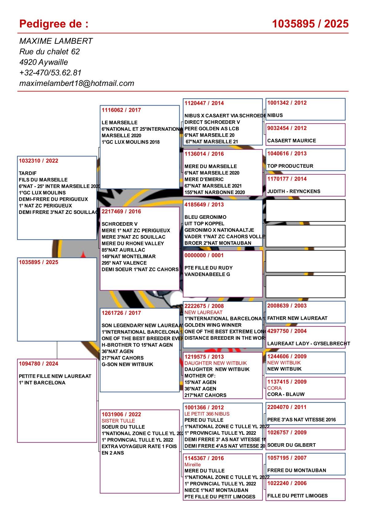 pedigree Kleinzoon "Marseille Evan" : 6e Nat. Marseille