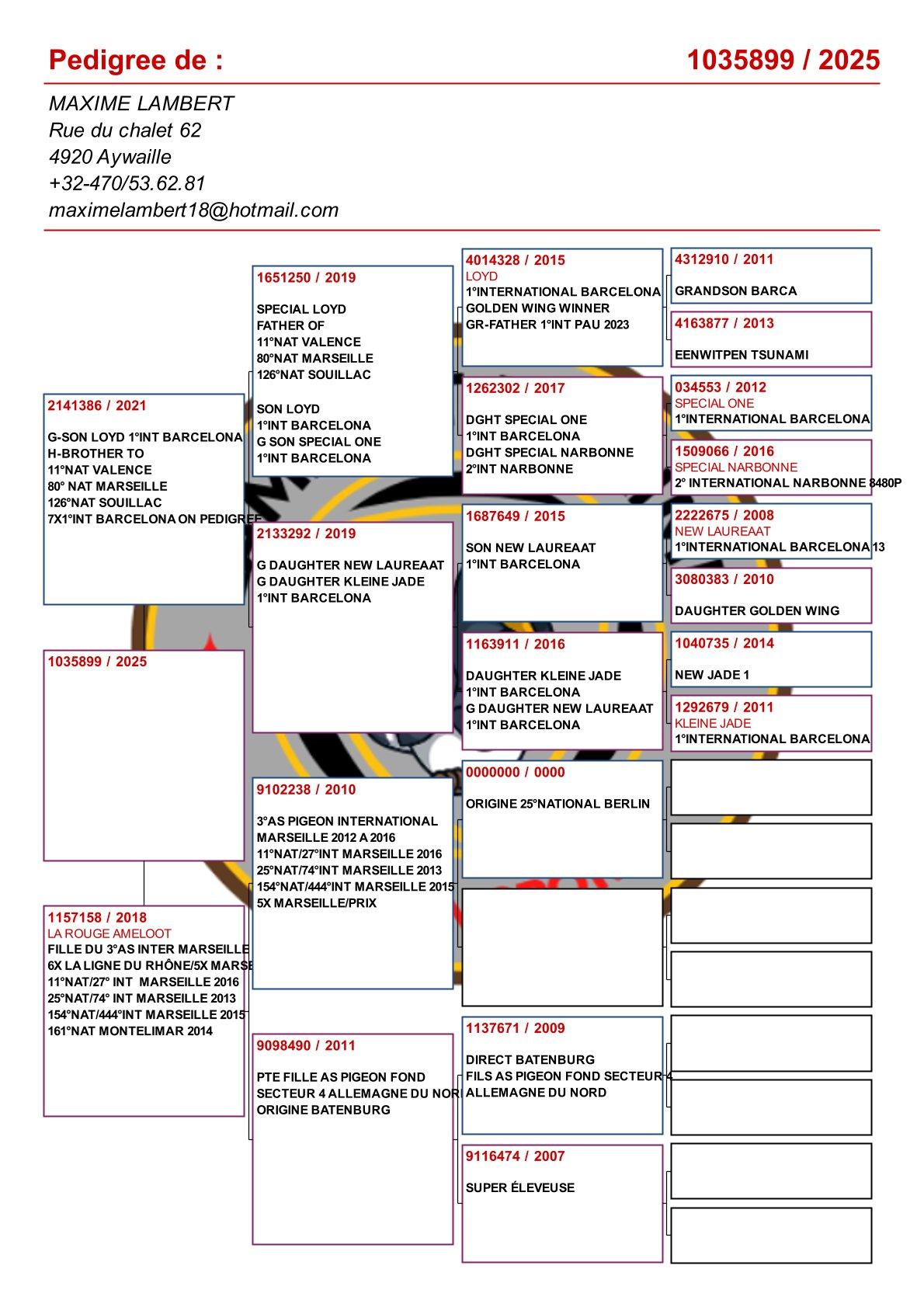 pedigree Achterkleinkind : "Loyd" : 1° Internationaal Barcelona 15707d