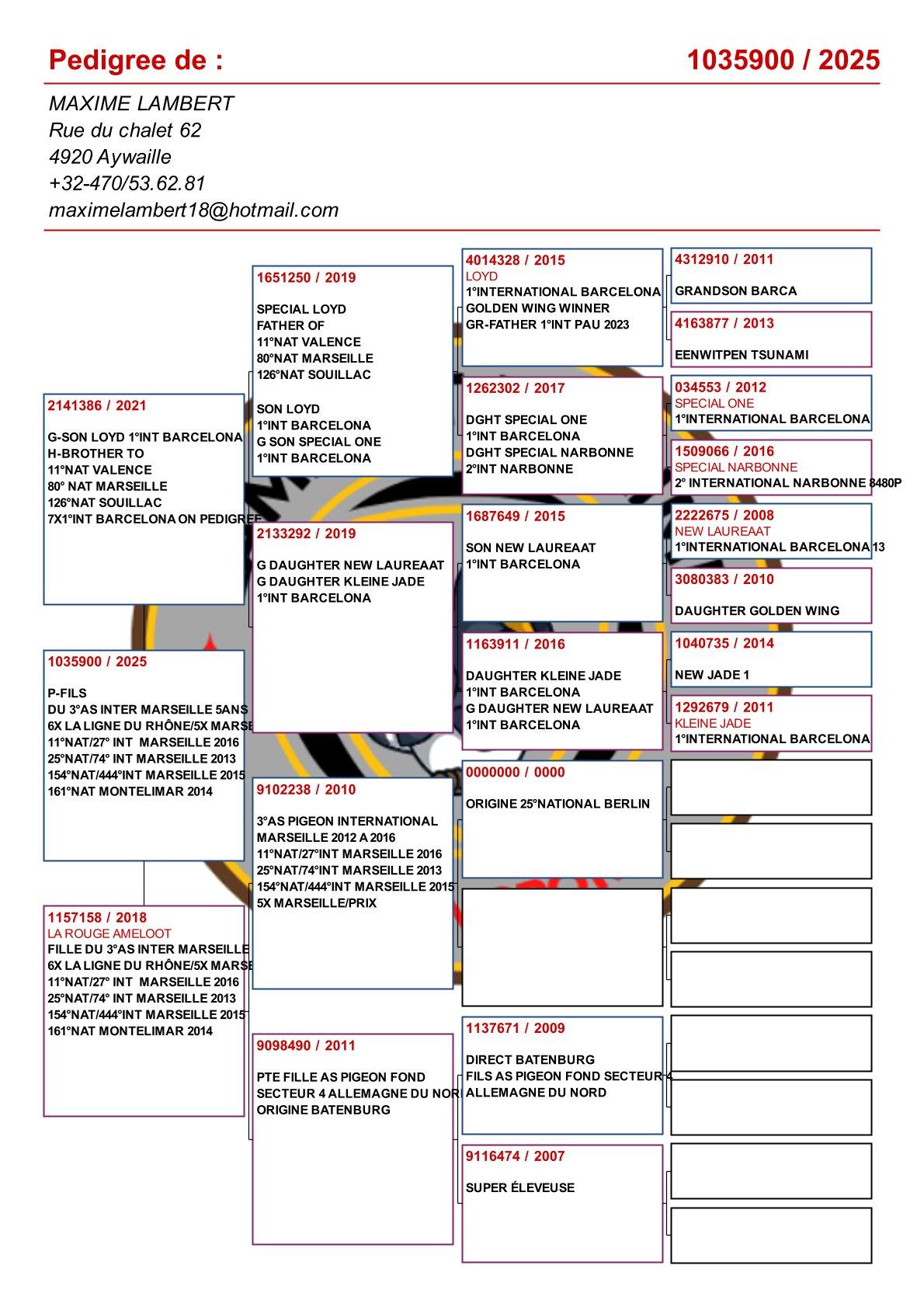 pedigree Achterkleinkind : "Loyd" : 1° Internationaal Barcelona 15707d