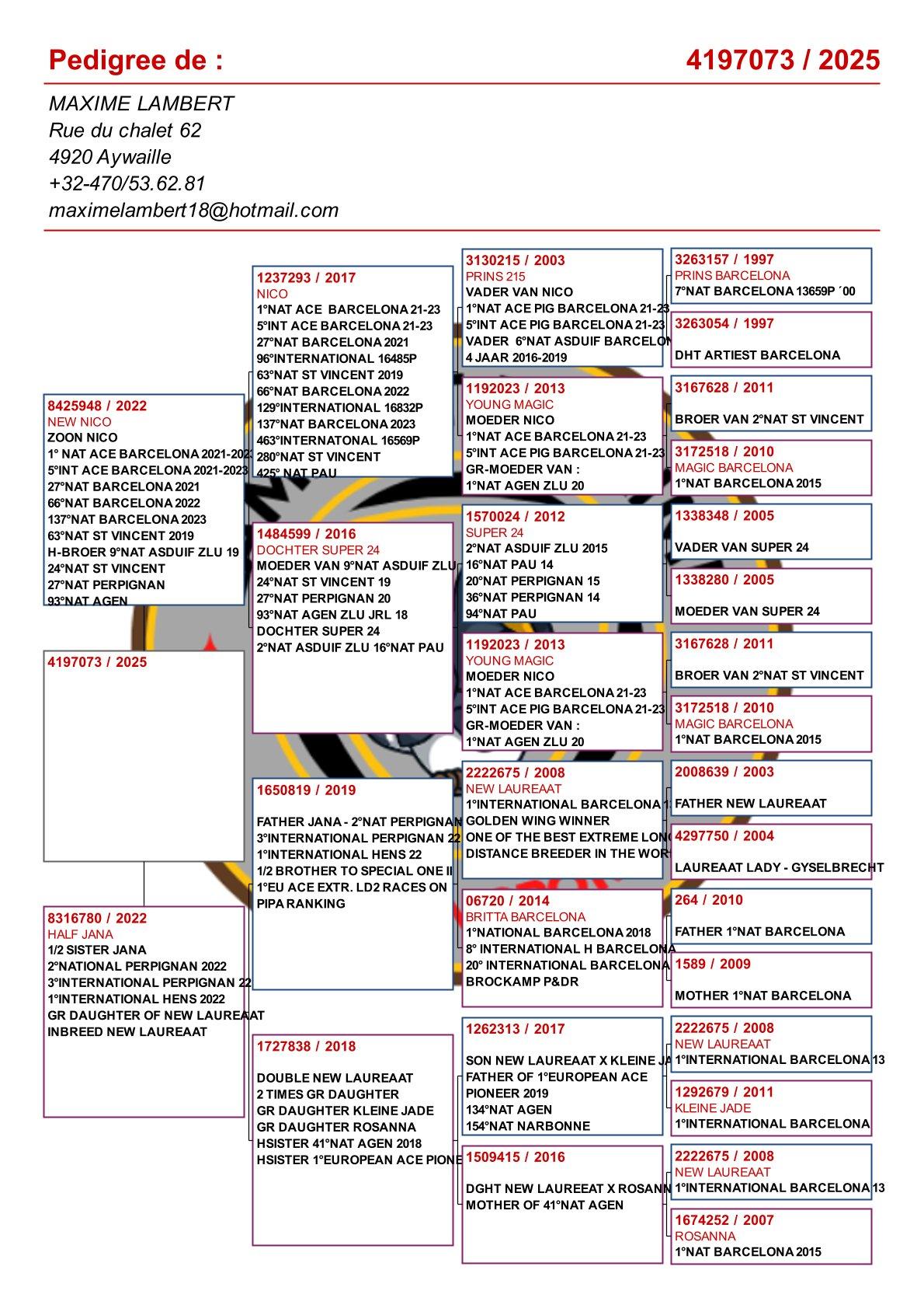 pedigree Kleindochter “Nico” : 1° Nat As Barcelona ’21-‘22