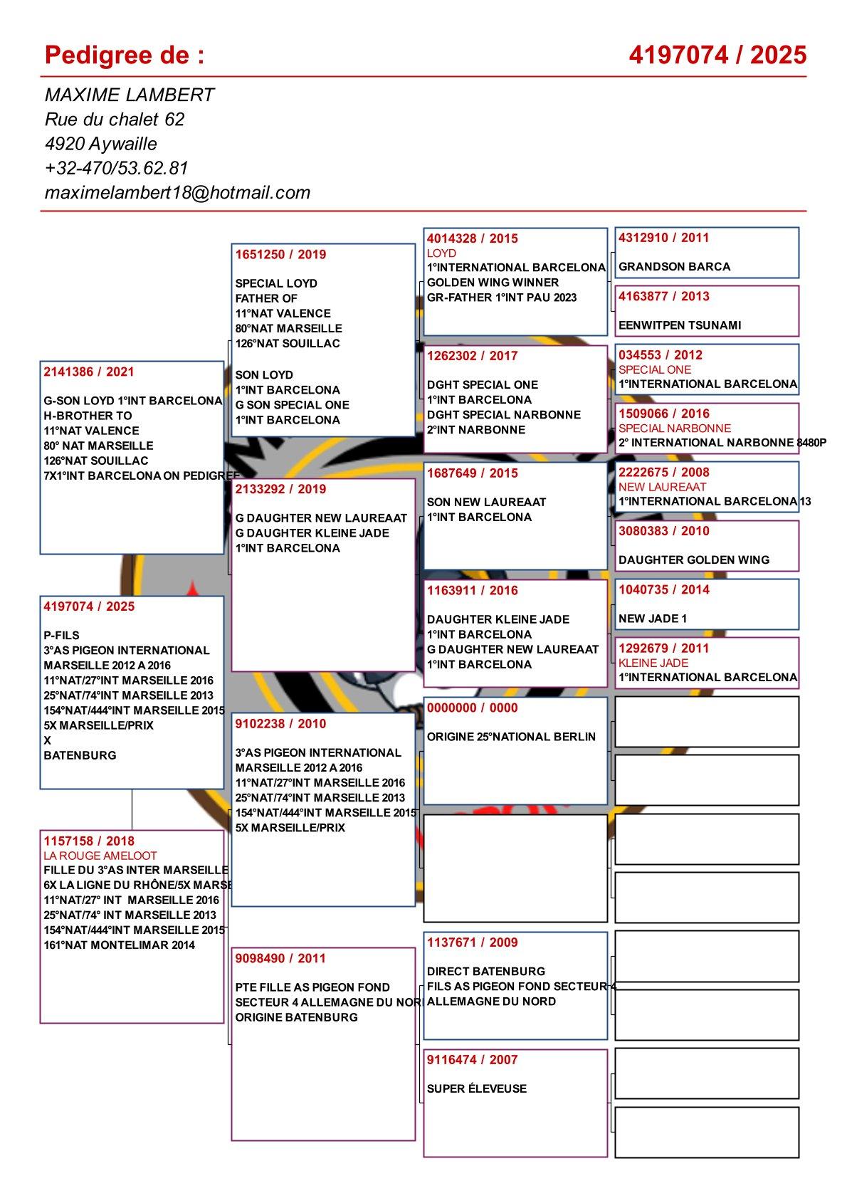 pedigree Achterkleinkind : "Loyd" : 1° Internationaal Barcelona 15707d