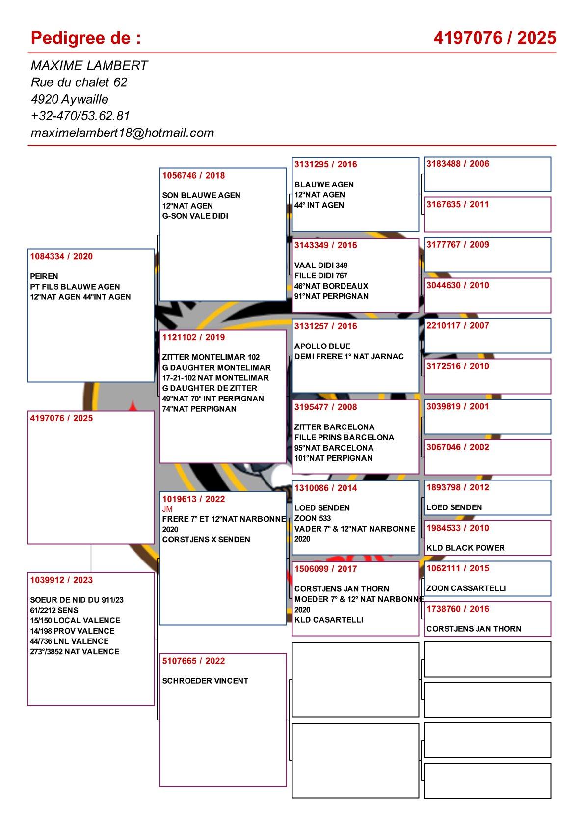 pedigree Achterkleinkind 12° Nat Agen 
