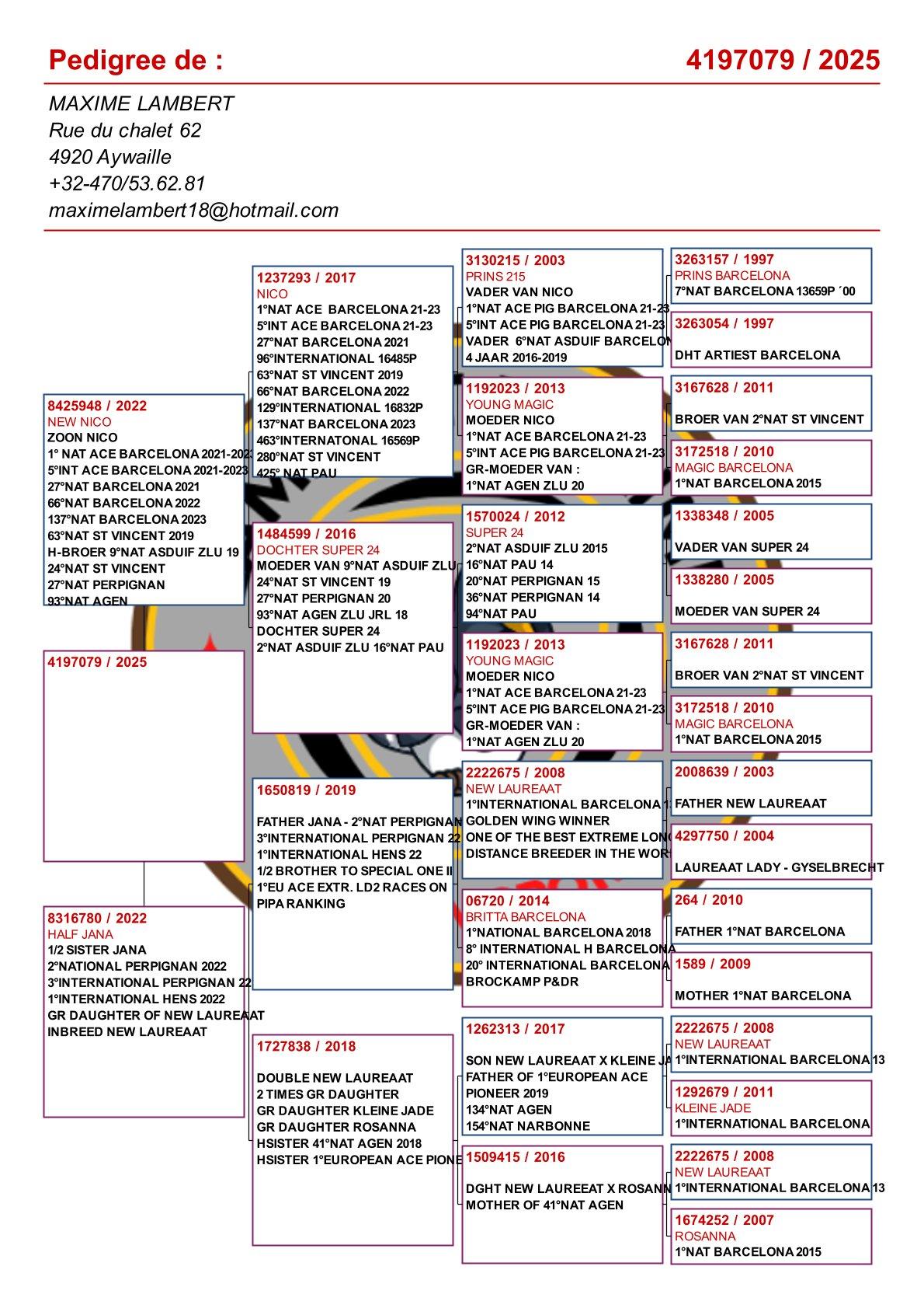pedigree Kleindochter "Nico" : 1° Nat As Barcelona ’21-‘22
