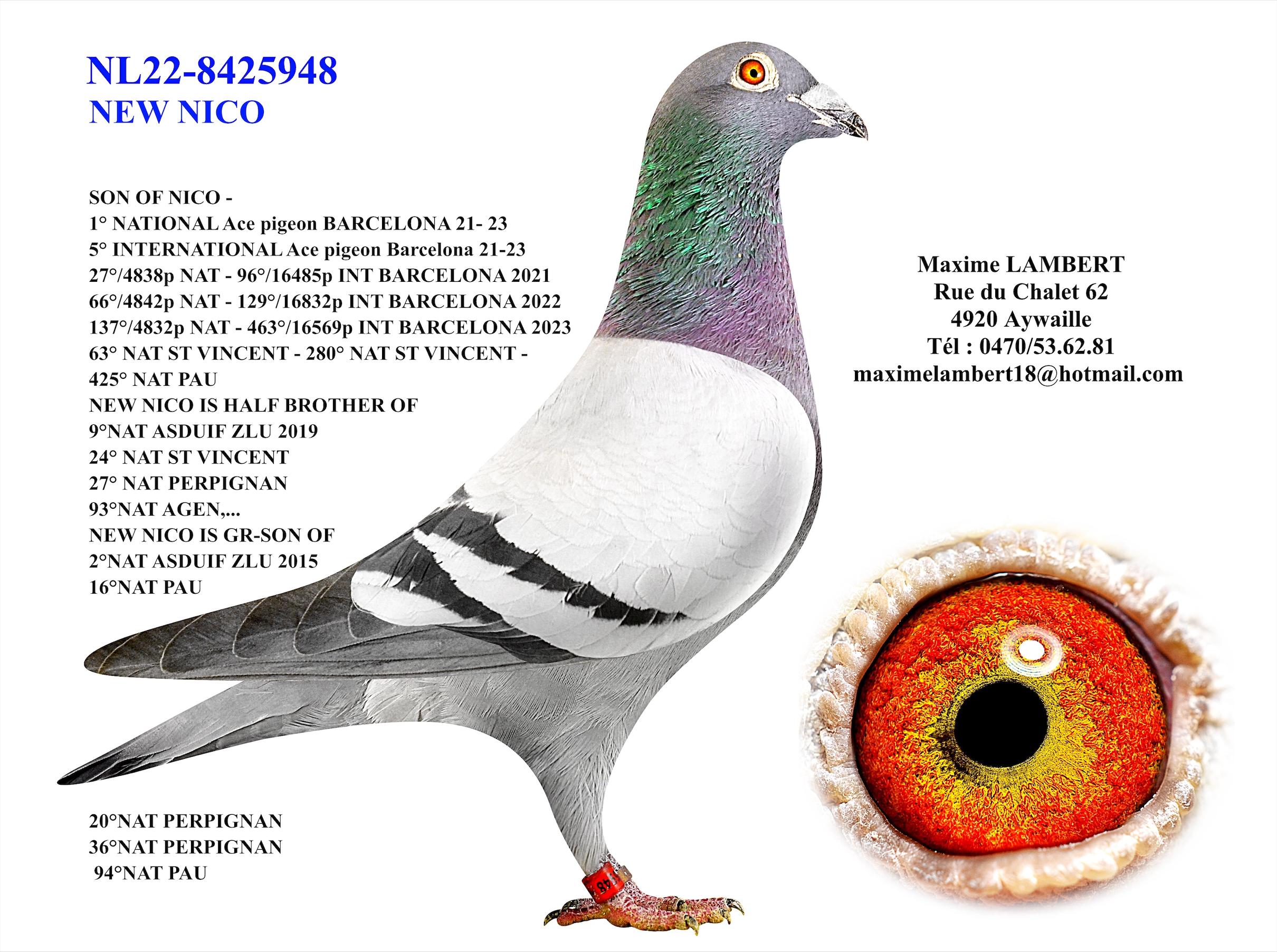 Kleinkind "Nico" : 1° Nat As Barcelona ’21-‘22 - Familie