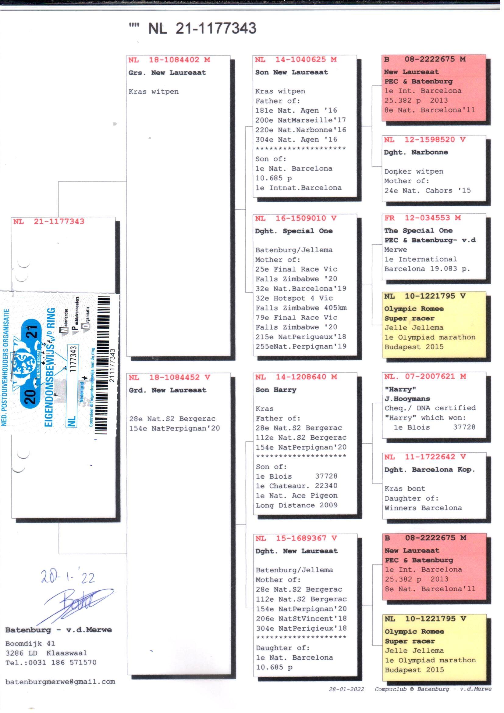 pedigree Achterkleinkind "New Laureaat" : 1e Internationaal Barcelona 25382d.