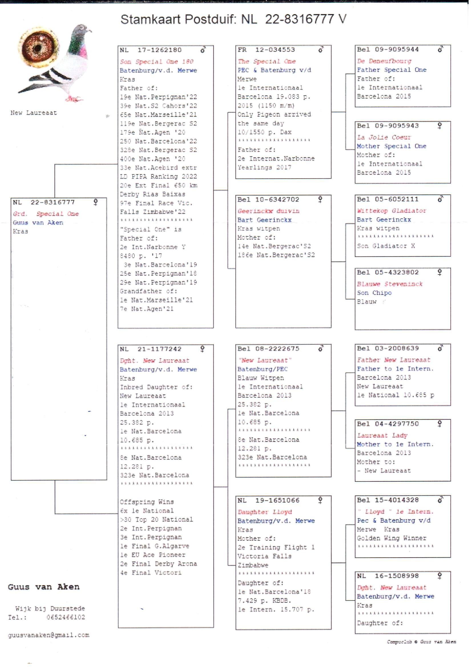 pedigree Kleinkind "The Special One" : 1e Internationaal Barcelona 19083d.