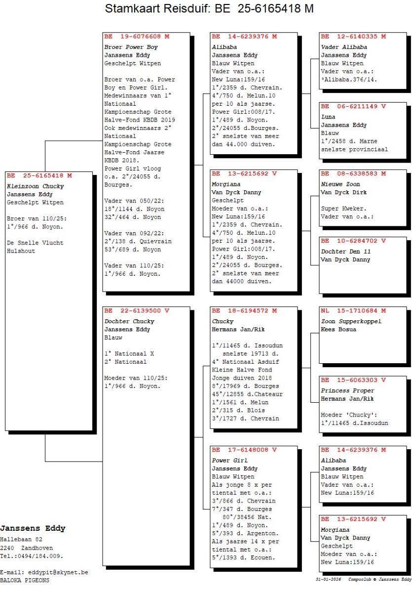 pedigree JANSSENS EDDY Geschelpte witpen 25 (zie pedigree)