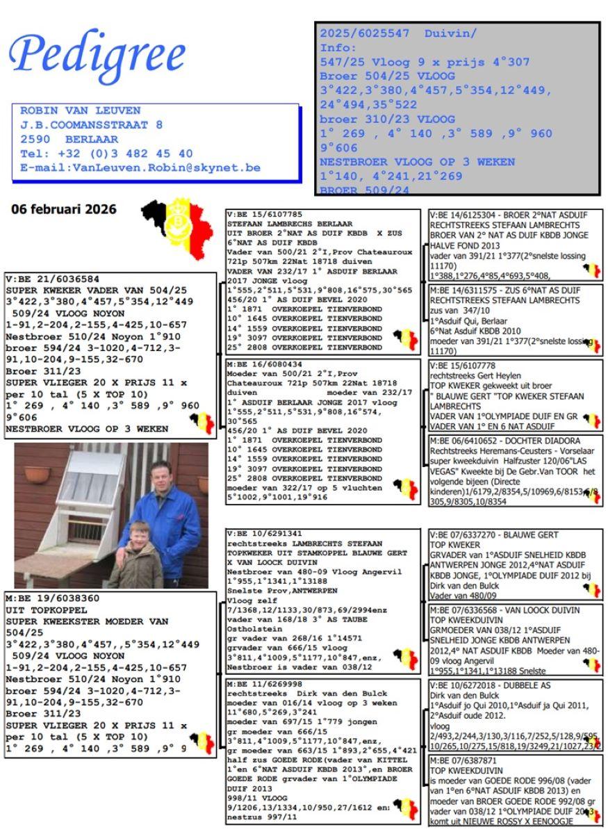 pedigree VAN LEUVEN ROBIN Duivin 25 (zie pedigree)