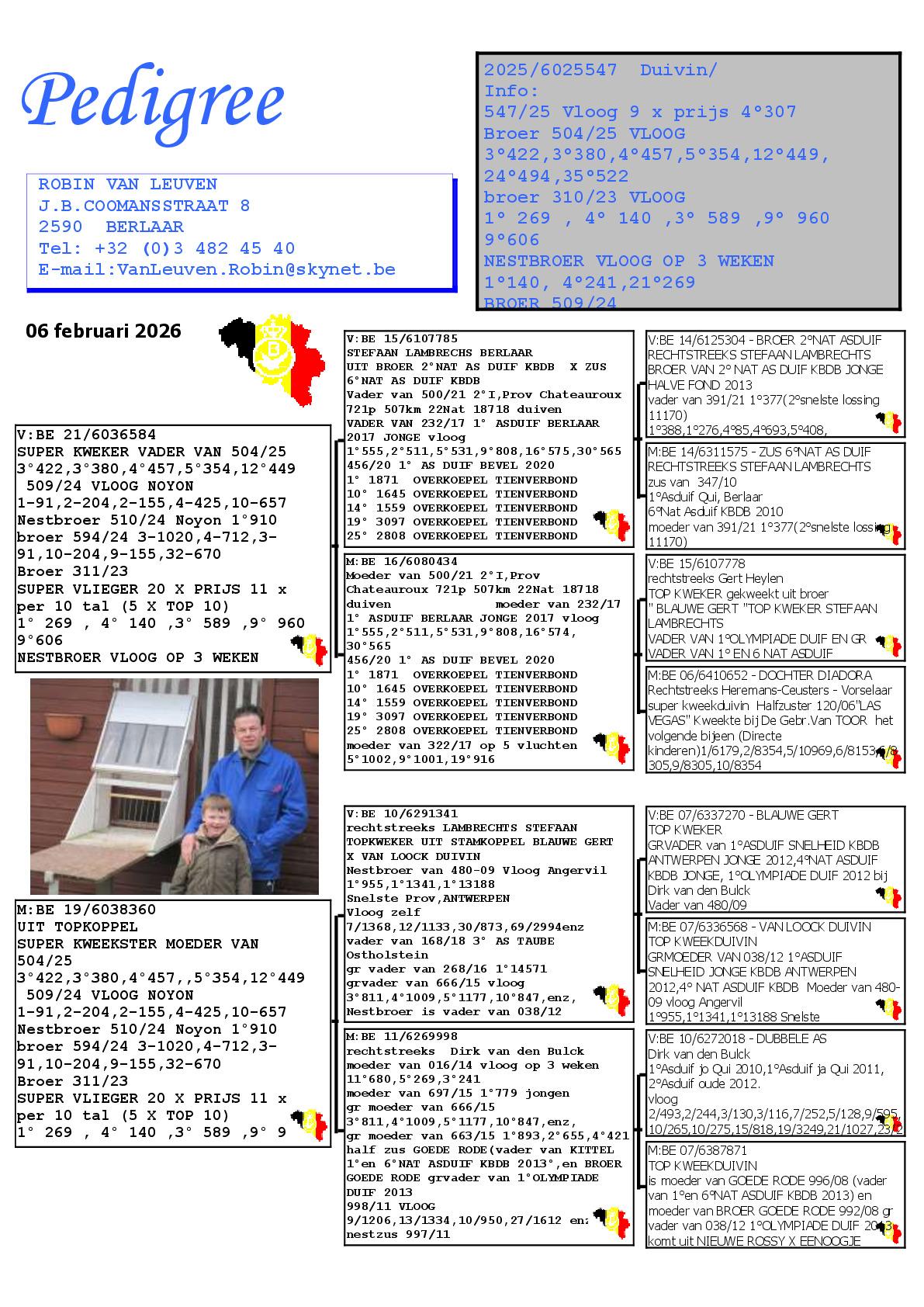 VAN LEUVEN ROBIN Duivin 25 (zie pedigree) - Pedigree