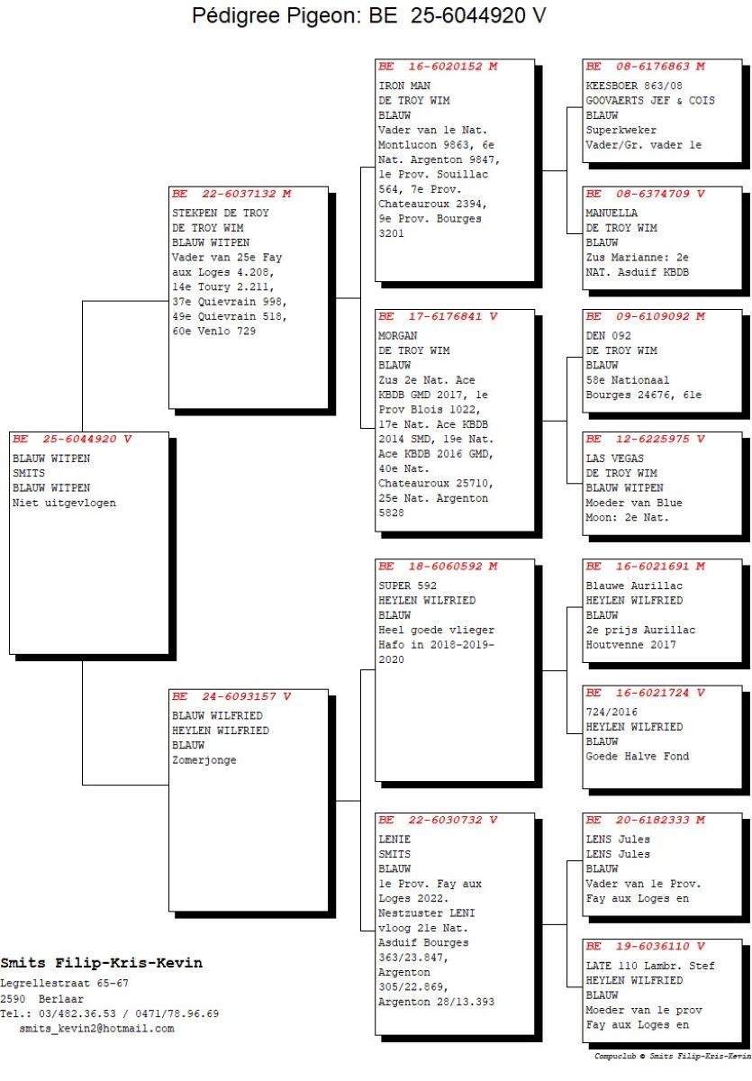 pedigree SMITS KEVIN & WIM–FILIP & KRIS Blauw witpen 25 (zie pedigree)