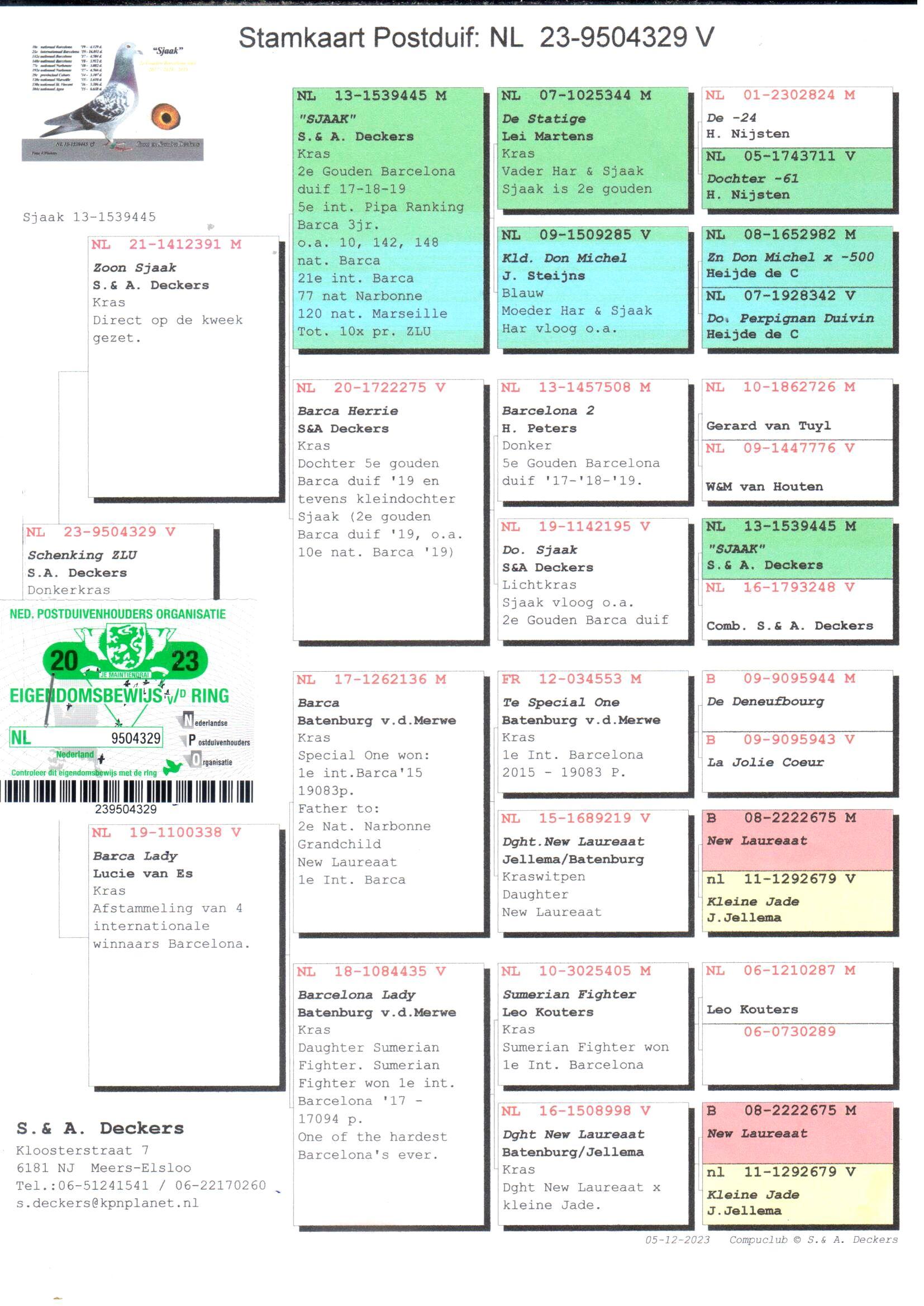 pedigree Kleinkind "Sjaak" : 2e Gouden Barcelona duif '17-'19