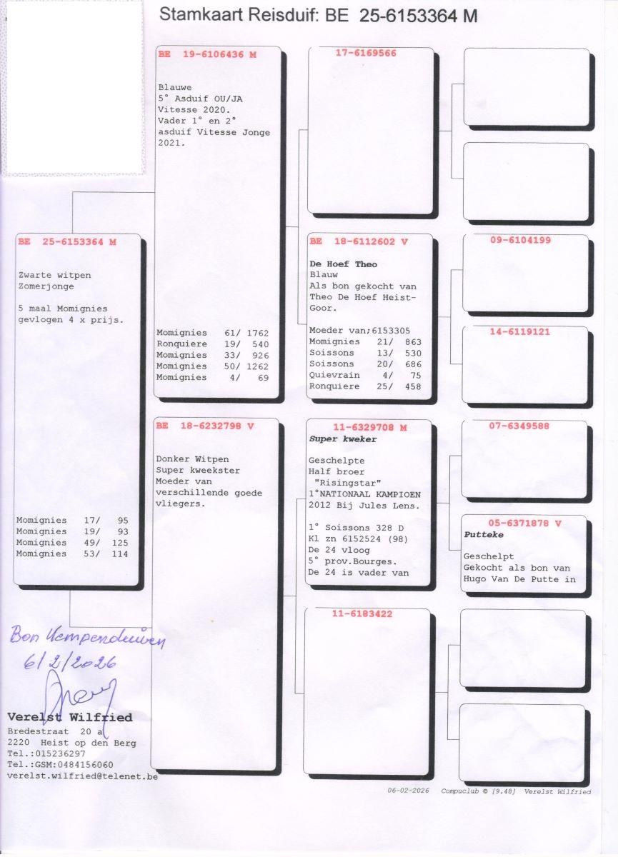 pedigree VERELST WILFRIED Zwarte witpen 25 (zie pedigree)