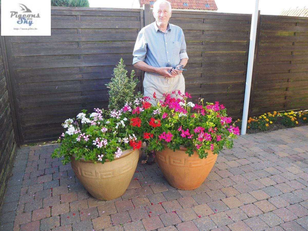 VAN BEL GUSTAAF 2xJonge 26