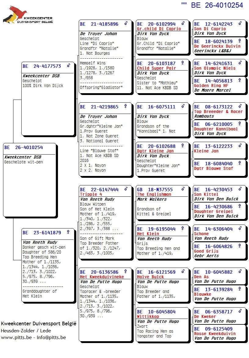 pedigree 254 - Van Dijck x Van Reeth