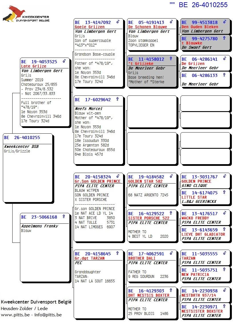 pedigree 255 - Van Limbergen x Porsche-lijn