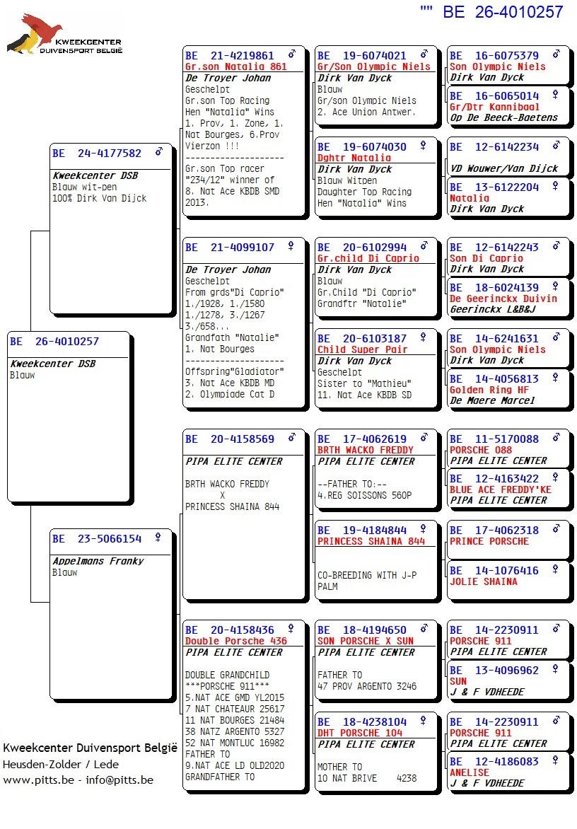 pedigree 257 - Van Dijck x Porsche-lijn