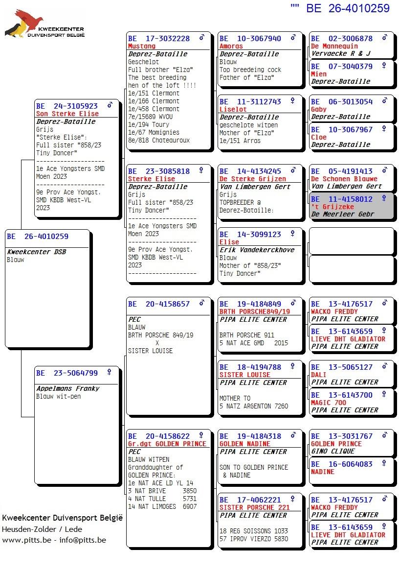 pedigree 259 - Deprez/Van Limbergen x Porsche-lijn