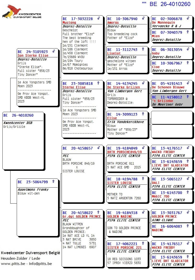 pedigree 260 - Deprez/Van Limbergen x Porsche-lijn