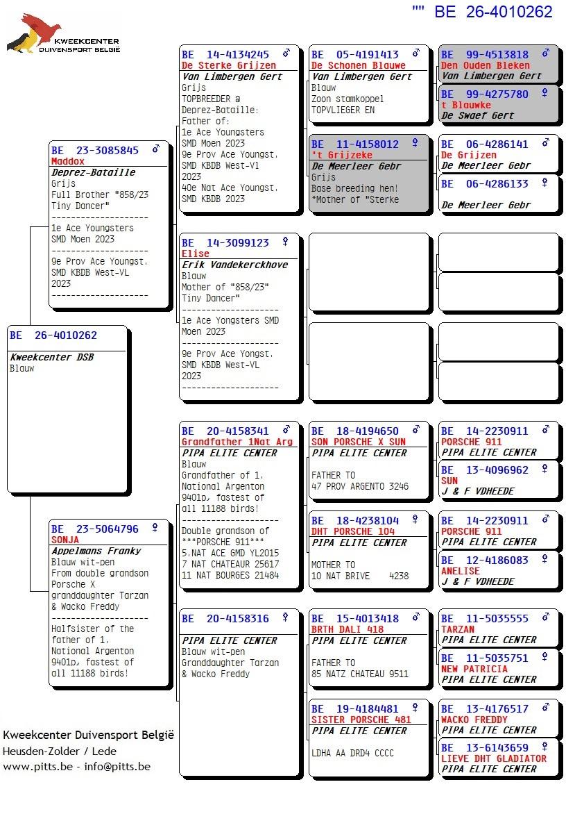 pedigree 262 - Deprez/Van Limbergen x Porsche-lijn