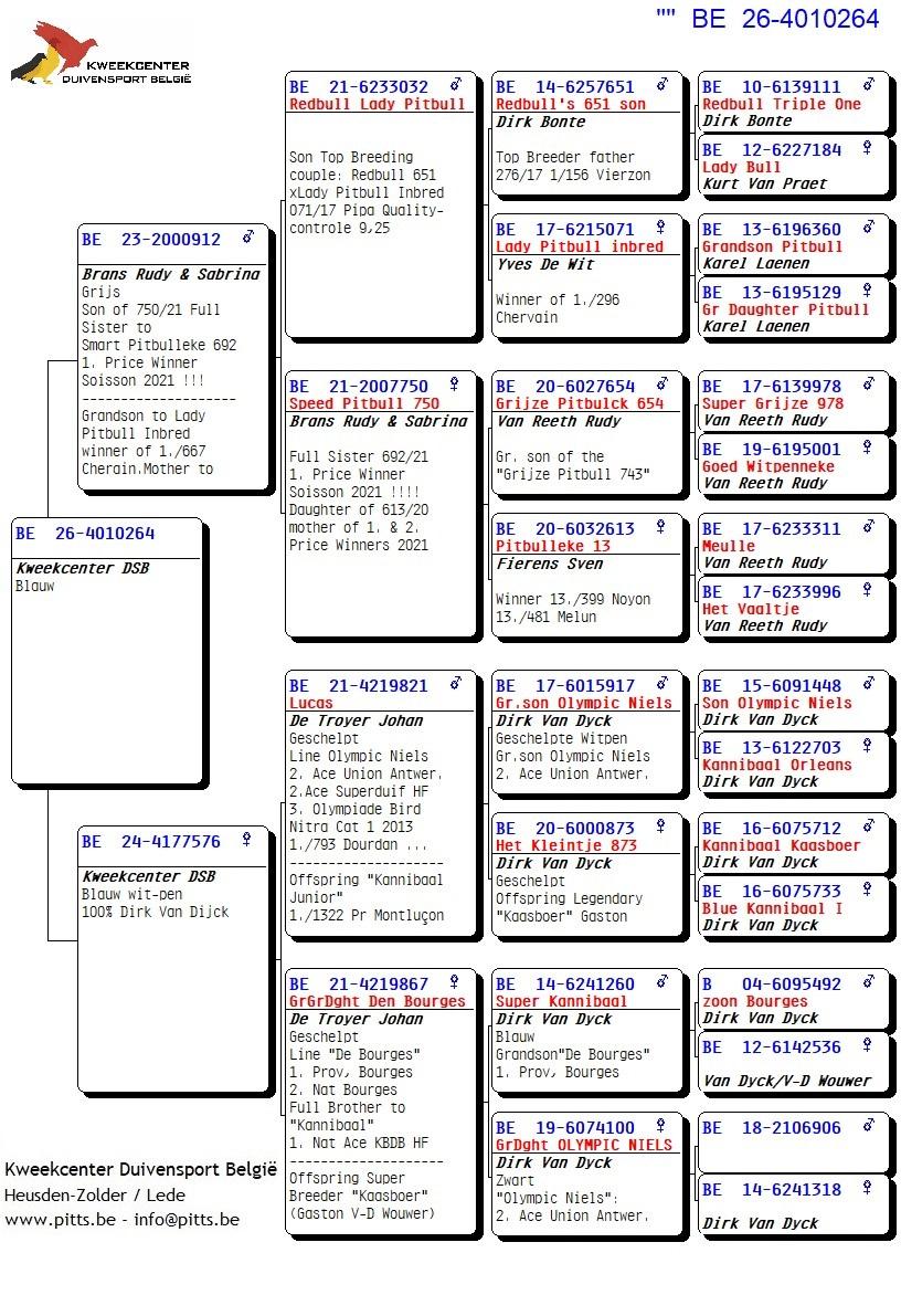 pedigree 264 - Brans x Van Dijck