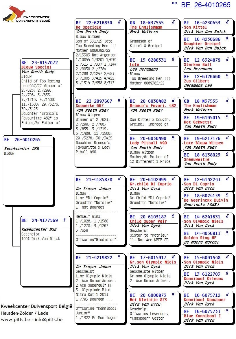 pedigree 265 - Van Reeth x Van Dijck