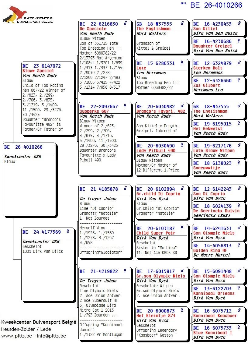 pedigree 266 - Van Reeth x Van Dijck