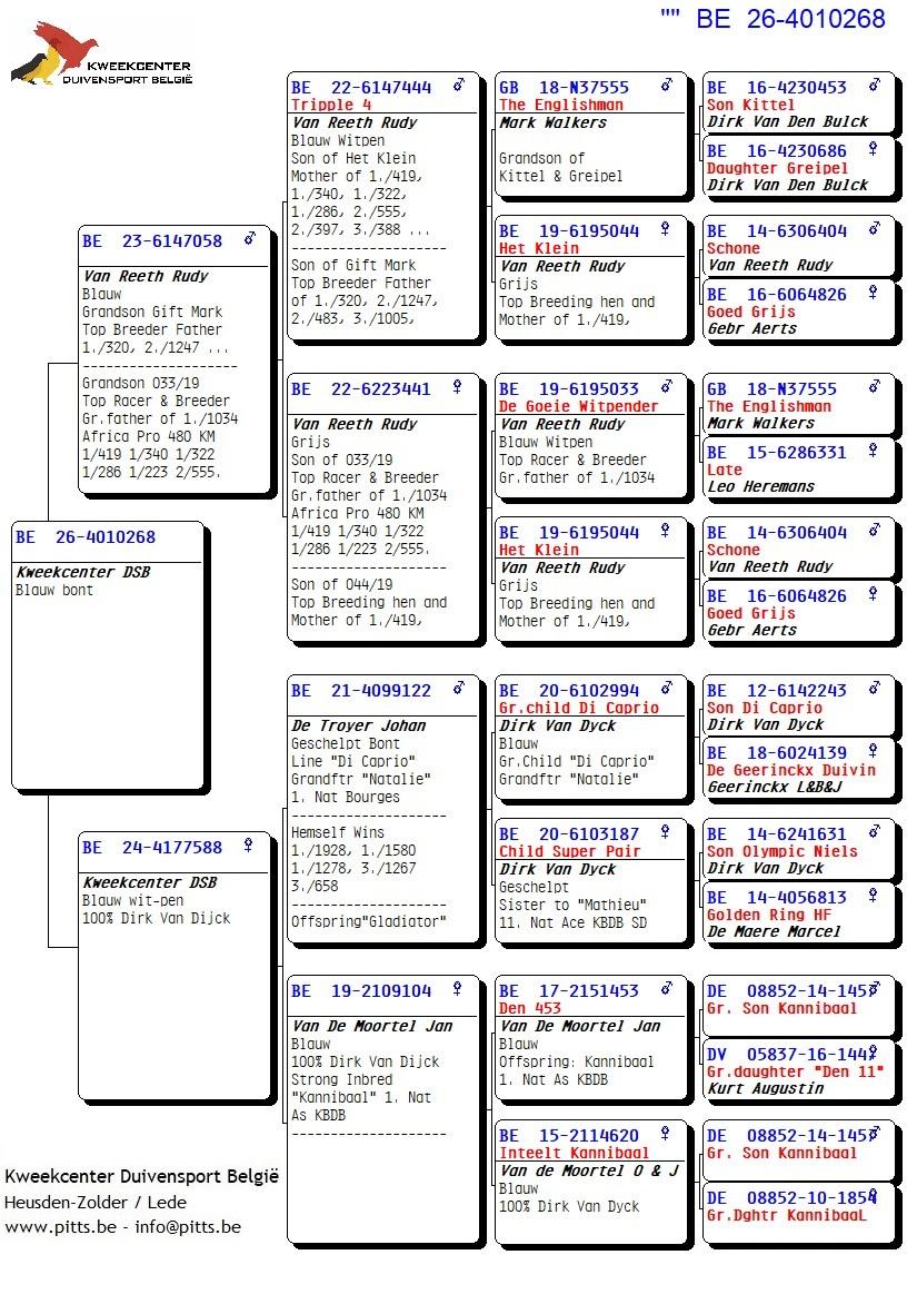 pedigree 268 - Van Reeth x Van Dijck