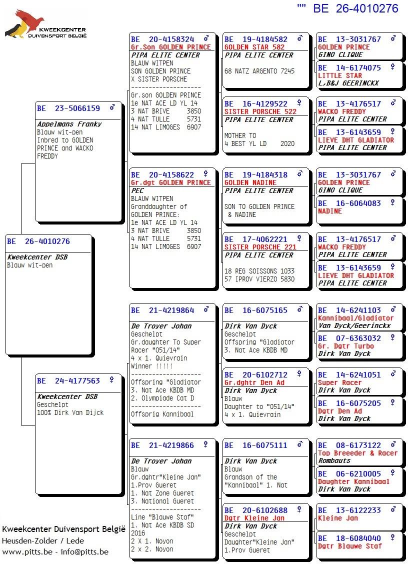 pedigree 276 - Porsche-lijn x Van Dijck