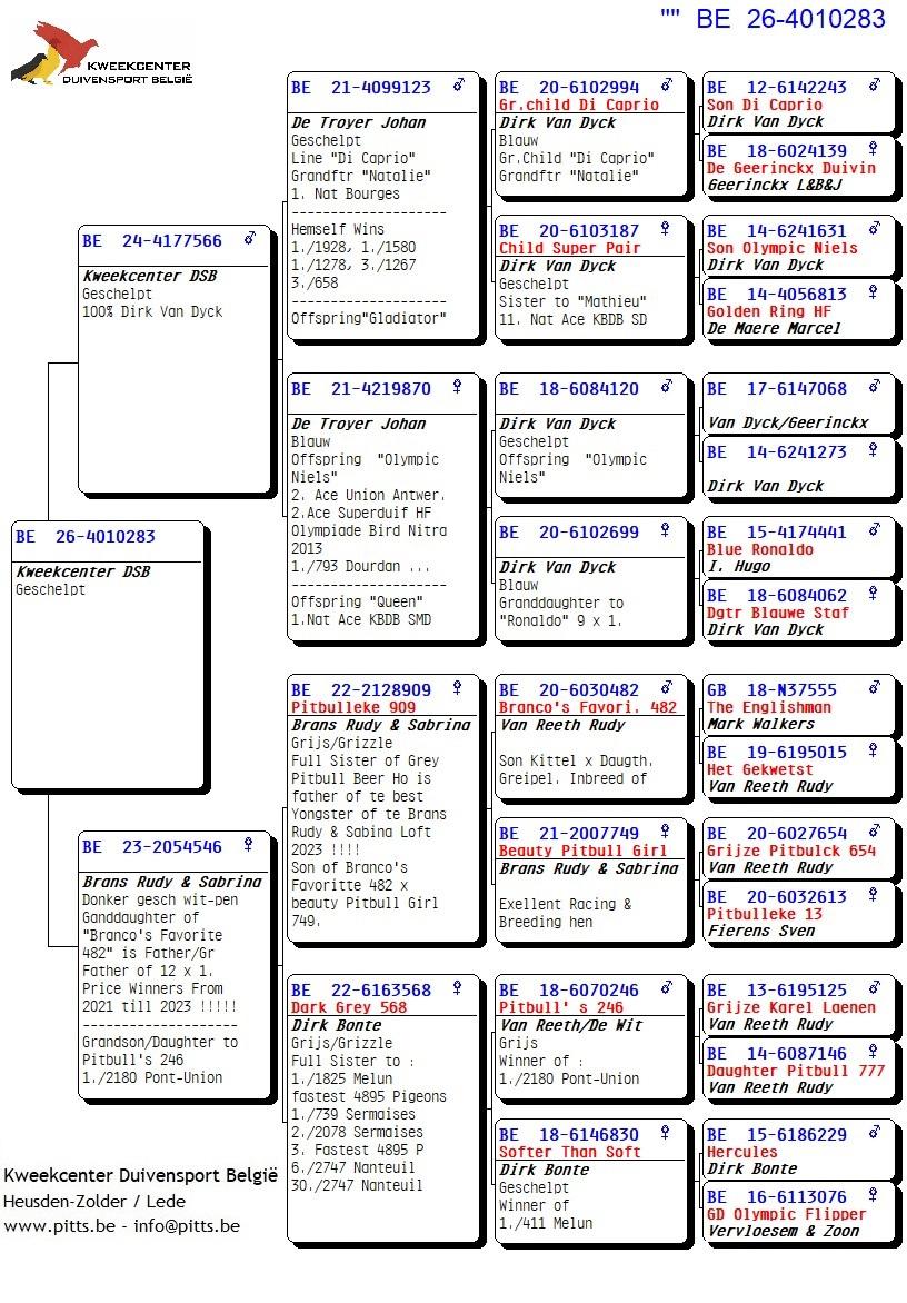 pedigree 283 - Van Dijck x Brans