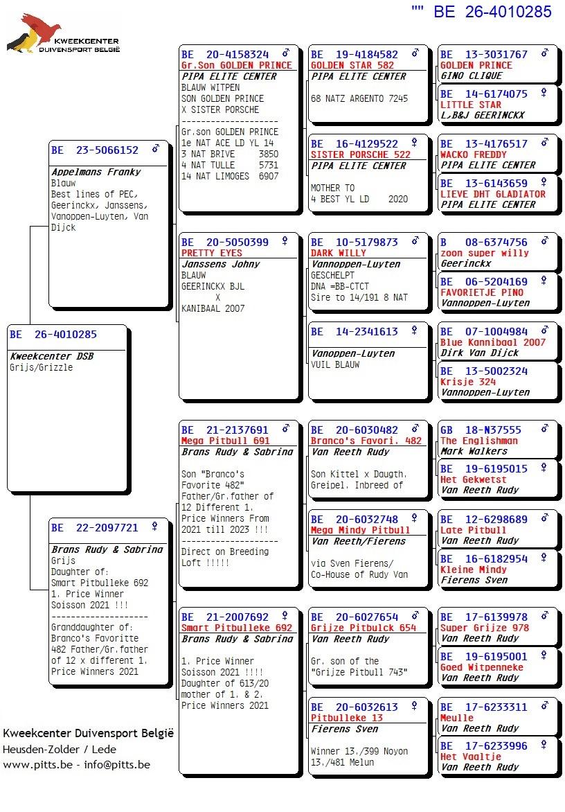 pedigree 285 - Porsche-lijn Appelmans x Brans