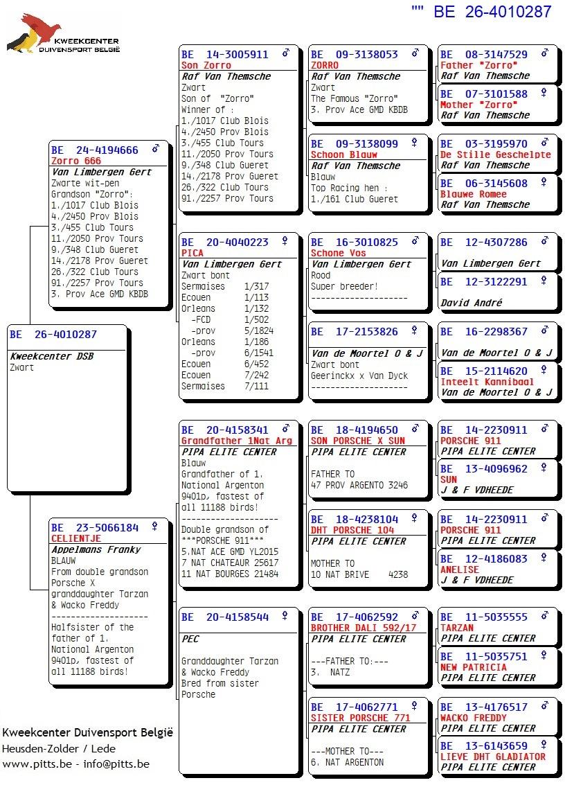 pedigree 287 - Van Limbergen x Porsche-lijn