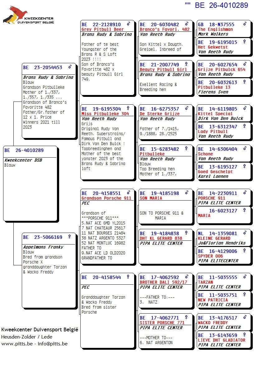 pedigree 289 - Brans x Porsche-lijn Appelmans