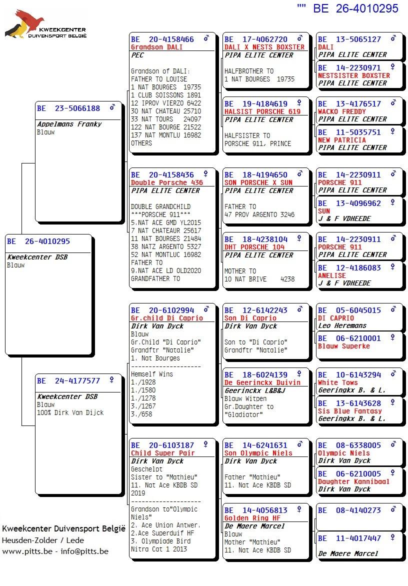 pedigree 295 - Porsche-lijn x Van Dijck