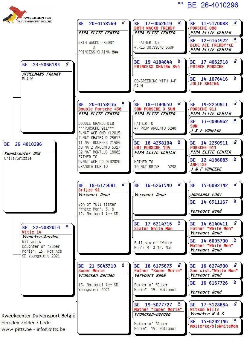 pedigree 296 - Porsche-lijn x Vrancken-Berden