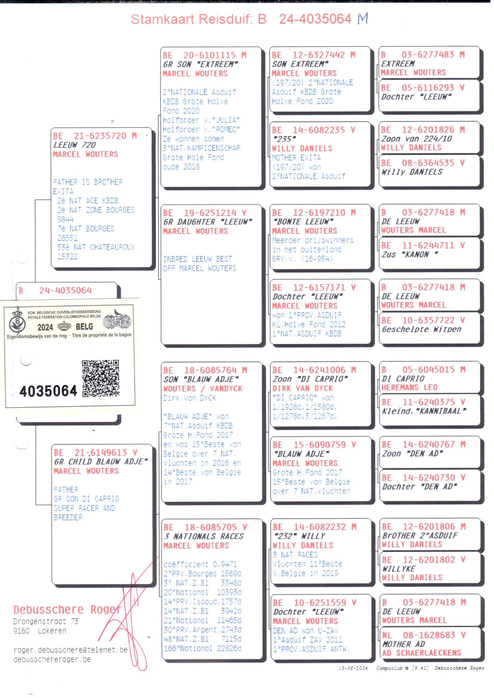 pedigree Leeuw 720 x Gr Child Blauw Adje