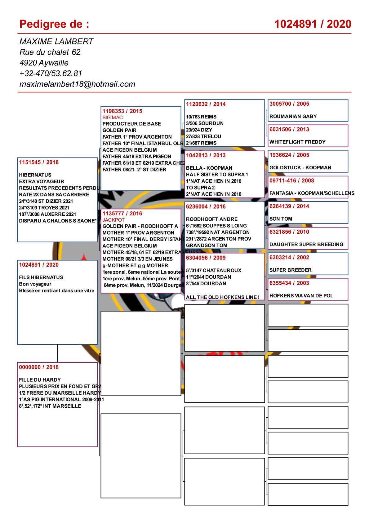 pedigree Zoon Hibernatus