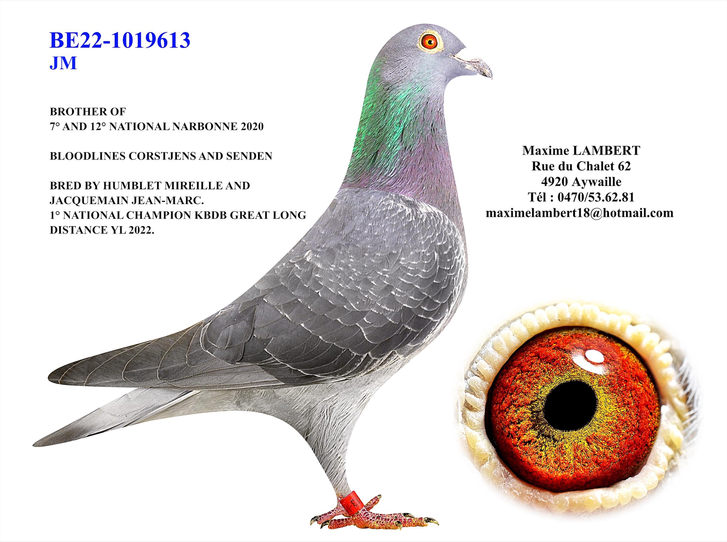 Kind uit broer 7° & 12° Nat Narbonne - Familie